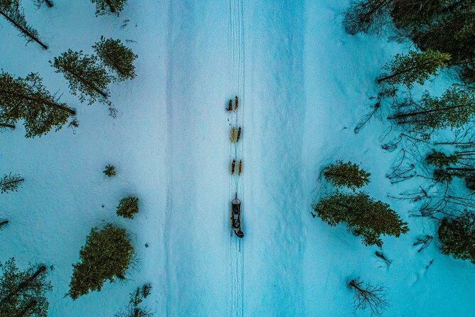 Rovaniemi: Husky Safari Tour & 6-10 Km Self-Driving Mushing - Exploring the Snow-Covered Forests