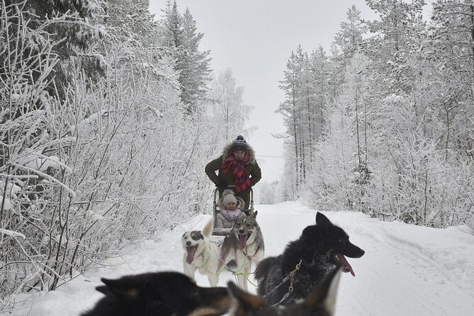 Rovaniemi: Husky Safari Tour & 6-10 Km Self-Driving Mushing - Tour Duration and Inclusions