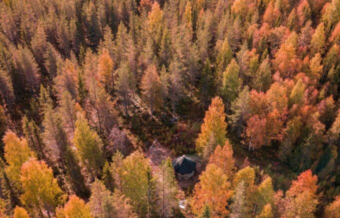 Rovaniemi: Husky Safari Tour & 6-10 Km Self-Driving Mushing - Memorable Husky Encounters