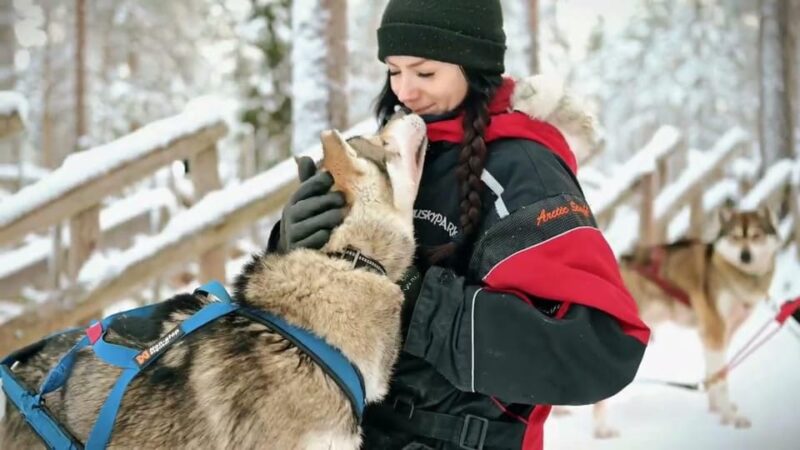 Rovaniemi: Husky Sled Ride and Farm Visit - Cancellation Policy