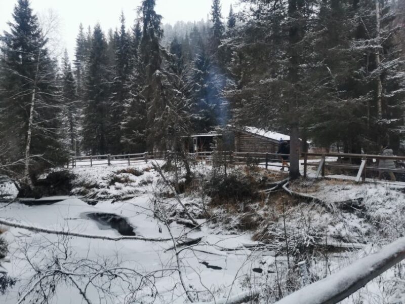 Rovaniemi: Korouoma Canyon Frozen Waterfalls Guided Hike - Tour Overview