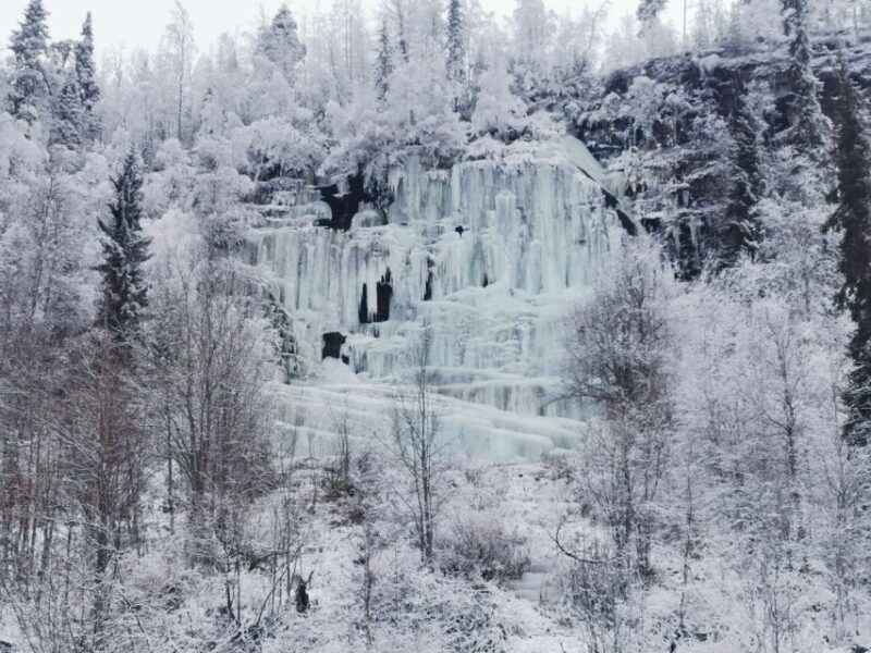 Rovaniemi: Korouoma Canyon Frozen Waterfalls Guided Hike - Diverse Wildlife Spotting