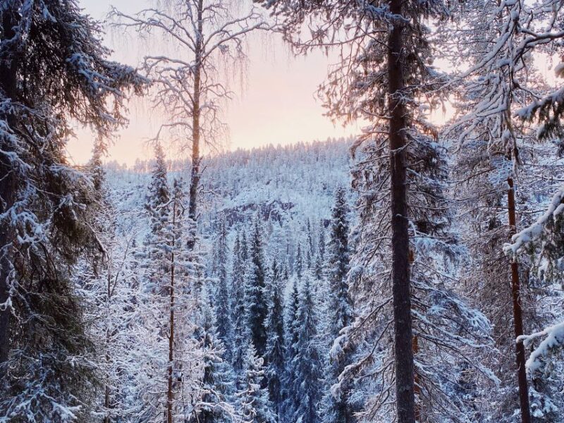 Rovaniemi: Korouoma National Park Canyon & Frozen Waterfalls - Highlights of Korouoma National Park