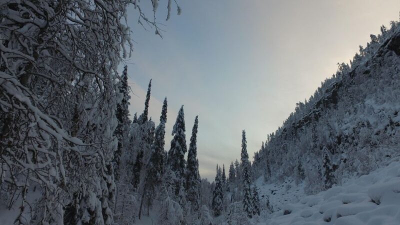 Rovaniemi: Korouoma National Park Canyon & Frozen Waterfalls - Customer Feedback