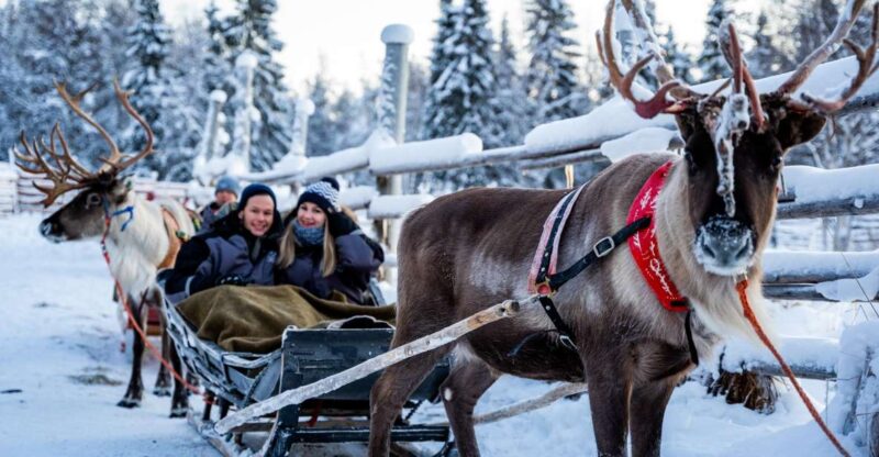 Rovaniemi: Local Reindeer Farm Visit With 2 Km Sleigh Ride - Sum Up