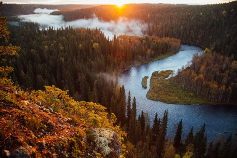 Rovaniemi: Magical Forest Hiking Adventure Tour & BBQ - Guided Exploration of Authentic Arctic Landscapes