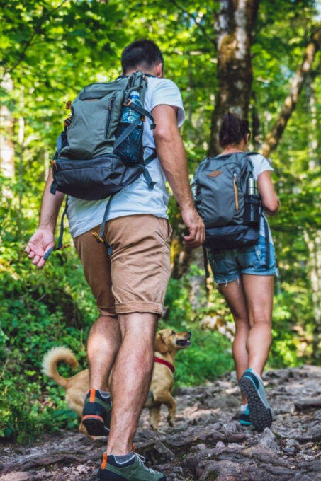 Rovaniemi: Magical Forest Hiking Adventure Tour & BBQ - Immerse in Lush Forests and Wildlife