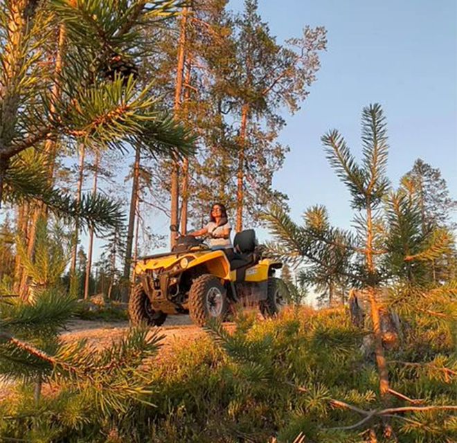 Rovaniemi: Midnight Sun, ATV Ride During The Golden Hour - Savoring Gingerbread and Blueberry Juice