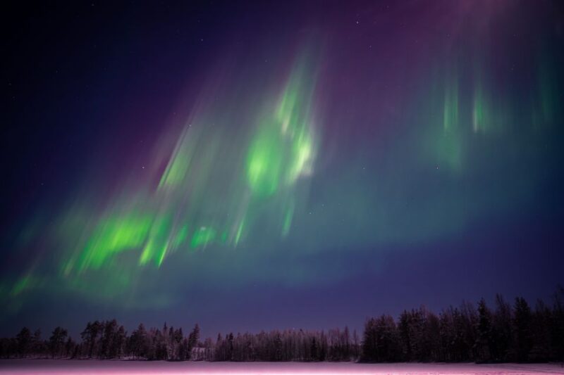Rovaniemi: Night Sky Lappish Barbecue - Age Restrictions