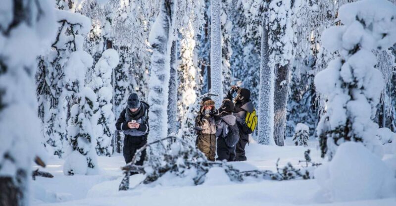 Rovaniemi: Nordic Forest Wilderness Adventure - Minimum Age Requirement