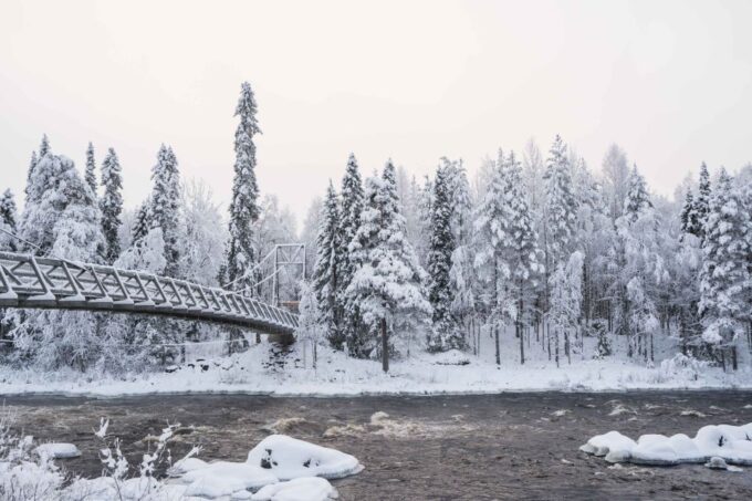 Rovaniemi: Nordic Forest Wilderness Adventure - Improvement Suggestions