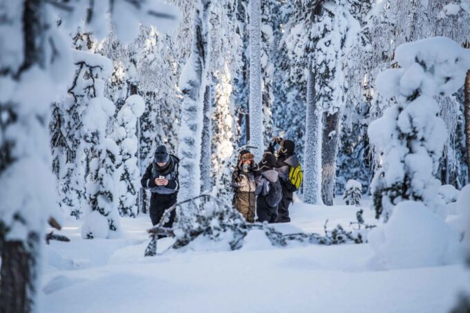 Rovaniemi: Nordic Forest Wilderness Adventure - Sum Up