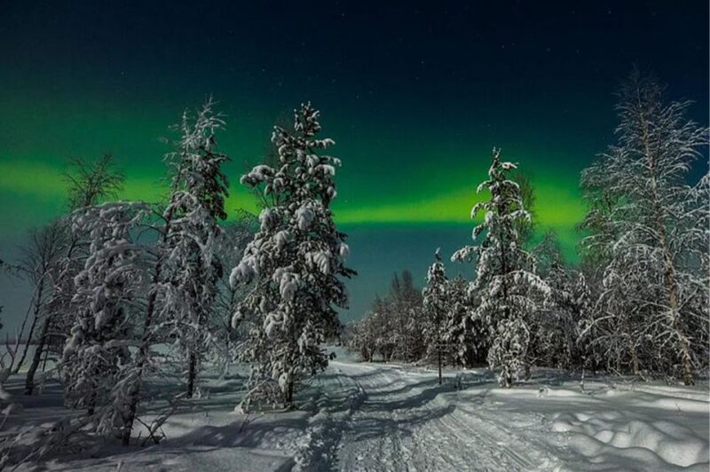Rovaniemi: Northern Lights and Husky Sleigh Ride - Activity Overview