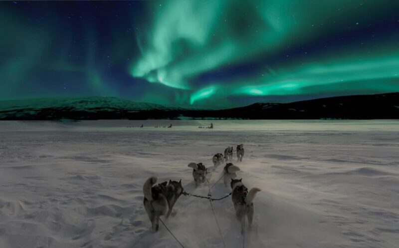 Rovaniemi: Northern Lights and Husky Sleigh Ride - Pricing and Cancellation