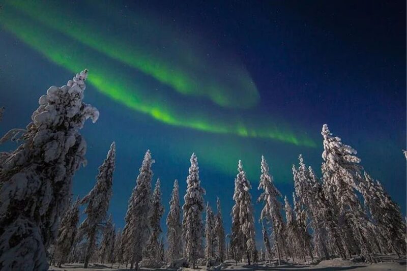 Rovaniemi: Northern Lights and Husky Sleigh Ride - Weather and Conditions