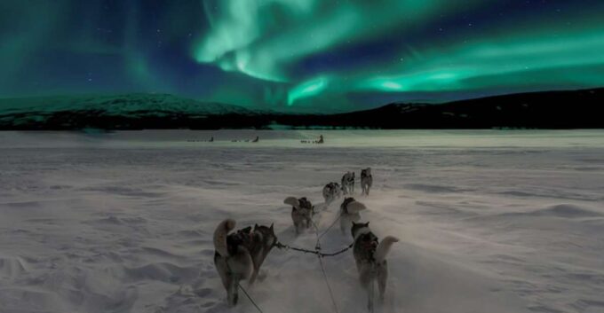 Rovaniemi: Northern Lights and Husky Sleigh Ride - Minimum Participant Requirements