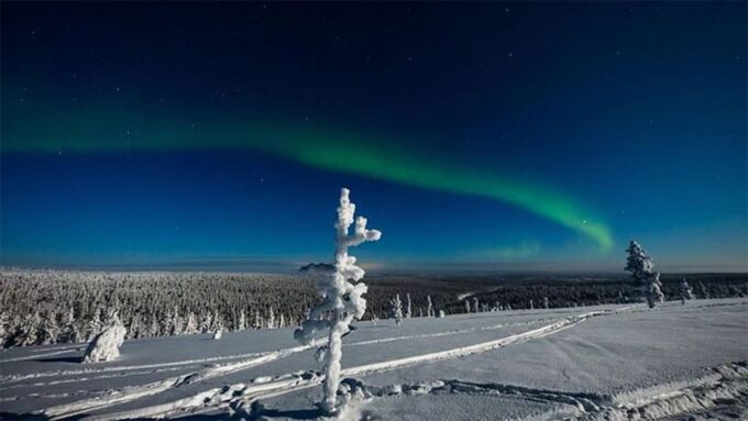 Rovaniemi: Northern Lights and Husky Sleigh Ride - Frequently Asked Questions