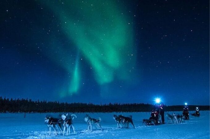 Rovaniemi: Northern Lights and Husky Sleigh Ride - Sum Up