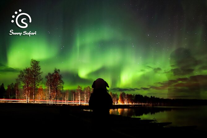 Rovaniemi Northern Lights Expedition - What to Expect