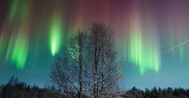 Rovaniemi: Northern Lights Hunt With a Photographer - Tour Overview and Pricing