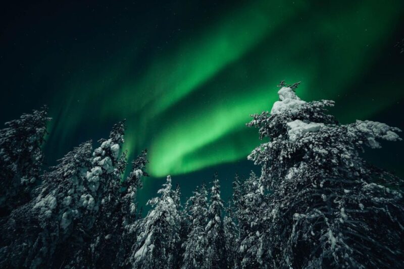 Rovaniemi: Northern Lights Hunt With a Photographer - Northern Lights Experience