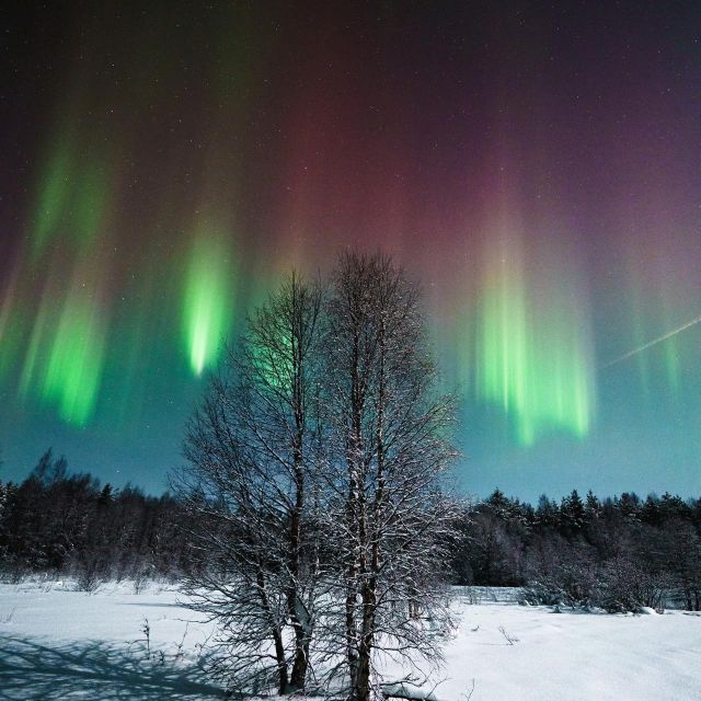 Rovaniemi: Northern Lights Hunt With a Photographer - Refund Policy and Cancellation Options