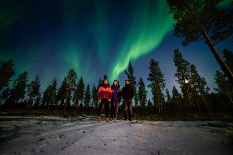 Rovaniemi: Northern Lights Pass 3 Days - Additional Information