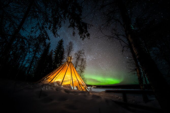 Rovaniemi Northern Lights Photography Small-Group Tour - Photography Tips