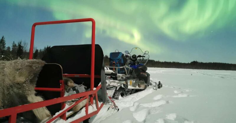 Rovaniemi: Northern Lights Sledge Ride - Activity Overview
