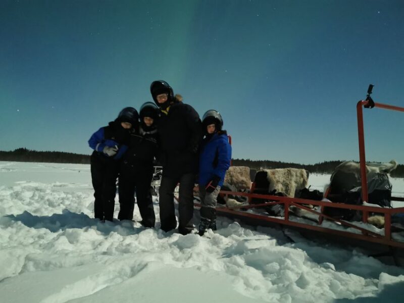 Rovaniemi: Northern Lights Sledge Ride - Customer Reviews