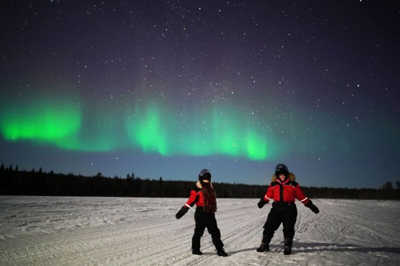 Rovaniemi: Northern Lights Sleigh Ride - Tour Overview
