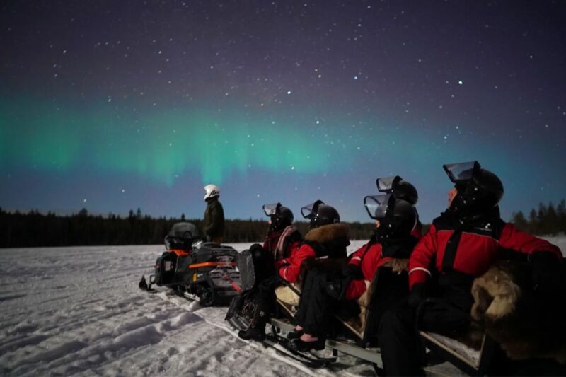 Rovaniemi: Northern Lights Sleigh Ride - Experience Highlights