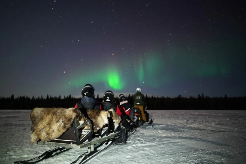 Rovaniemi: Northern Lights Sleigh Ride - Clothing and Requirements