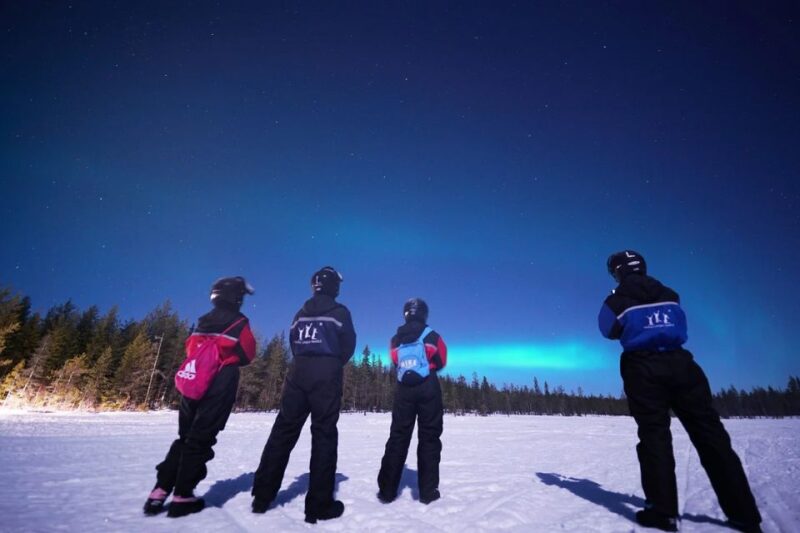 Rovaniemi: Northern Lights Sleigh Ride - Northern Lights Sightings