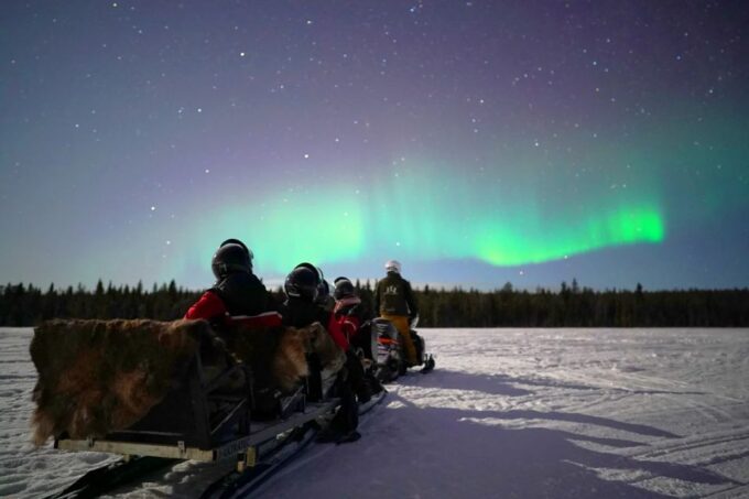 Rovaniemi: Northern Lights Sleigh Ride - Departure and Timing
