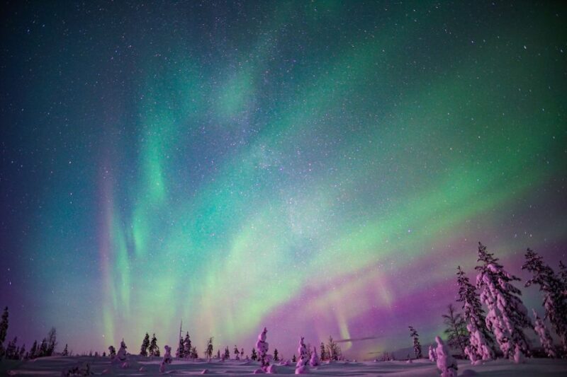Rovaniemi: Northern Lights Snowmobile Sledge Ride - Activity Overview