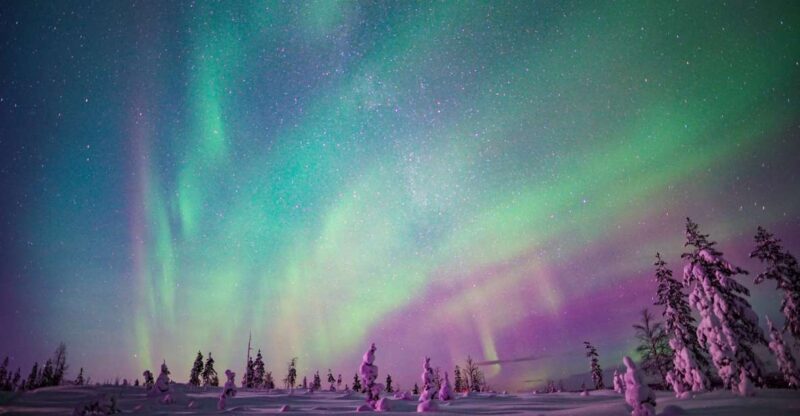 Rovaniemi: Northern Lights Snowmobile Sledge Ride - Inclusions