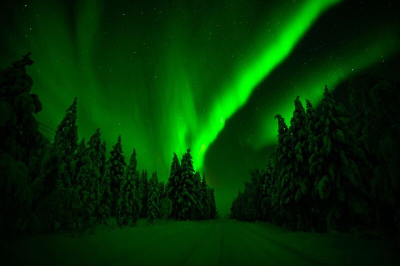 Rovaniemi: Northern Lights Snowmobile Tour - Tour Overview