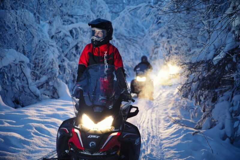 Rovaniemi: Northern Lights Snowmobile Tour - Booking and Reservation