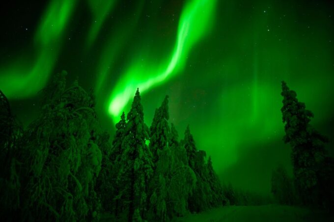 Rovaniemi: Northern Lights Snowmobile Tour - Sum Up
