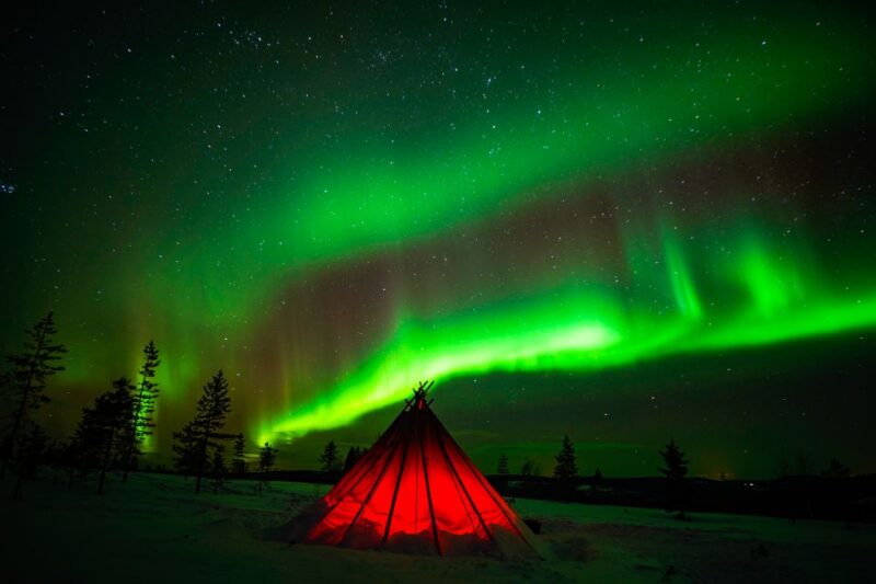 Rovaniemi: Northern Lights Wilderness Tour With Camera - Tour Overview and Pricing