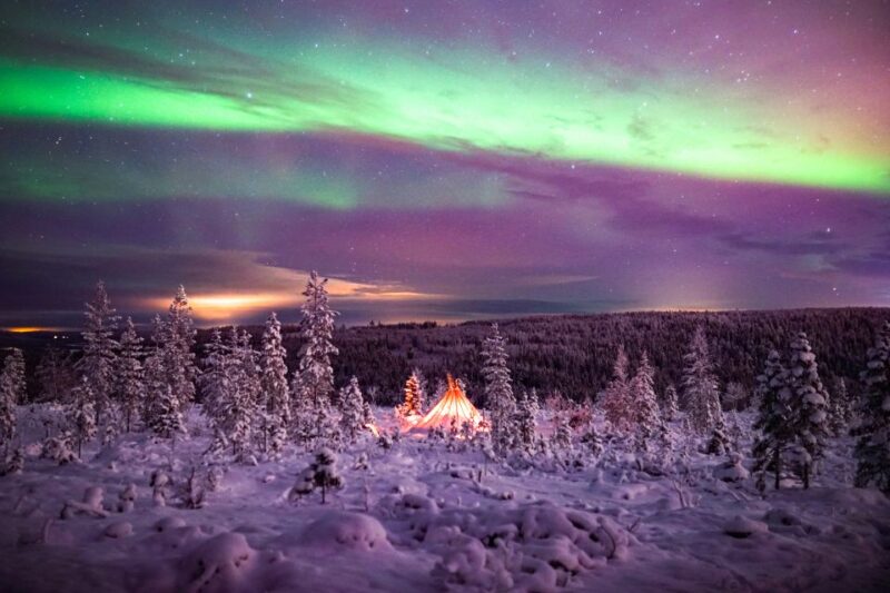 Rovaniemi: Northern Lights Wilderness Tour With Camera - Logistics and Pickup Information