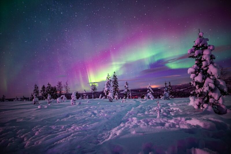 Rovaniemi: Northern Lights Wilderness Tour With Camera - Customer Ratings and Feedback