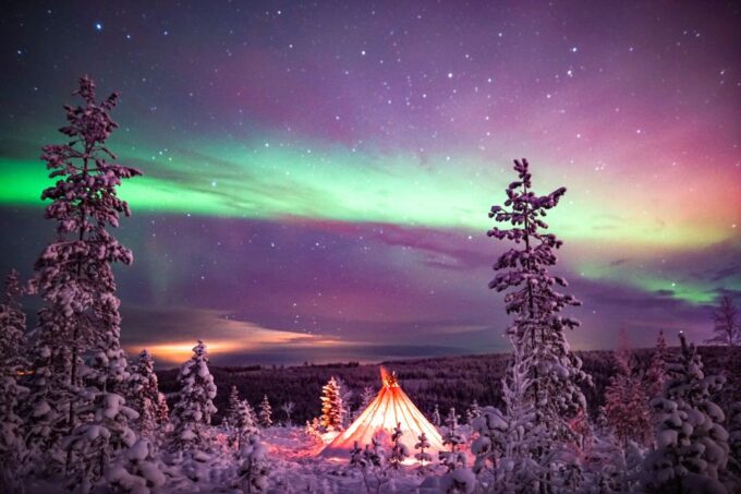 Rovaniemi: Northern Lights Wilderness Tour With Camera - Sum Up