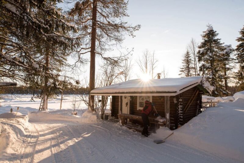 Rovaniemi: Northern LIGHTS With Sauna, Ice Swimming & Dinner - Best Season for Northern Lights