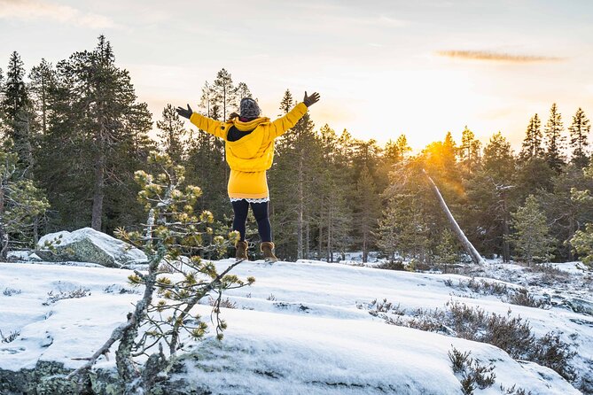 Rovaniemi Photography Tour - Customer Reviews and Experiences