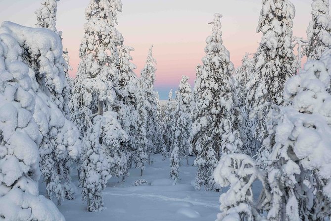 Rovaniemi Photography Tour - Key Locations Visited