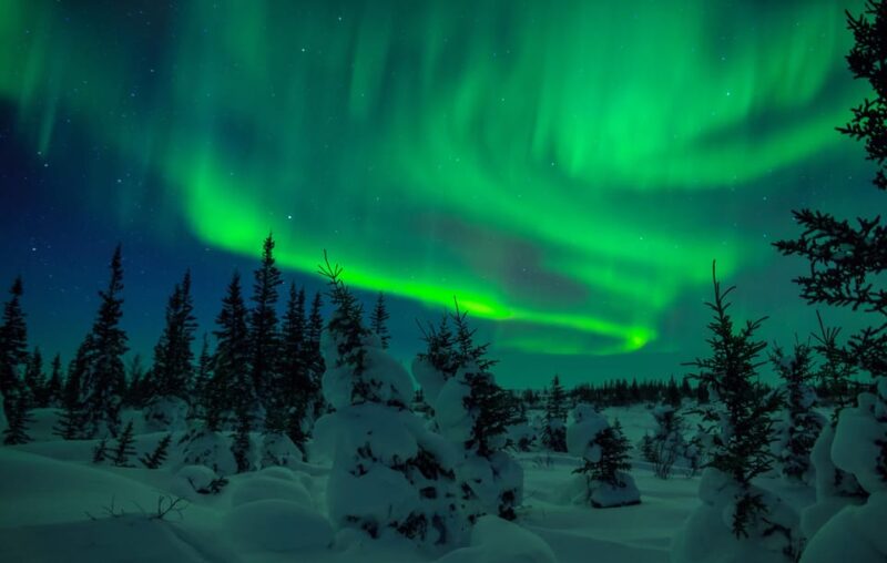 Rovaniemi: Private Aurora Hunting Tour With Meal - Weather and Clothing Recommendations