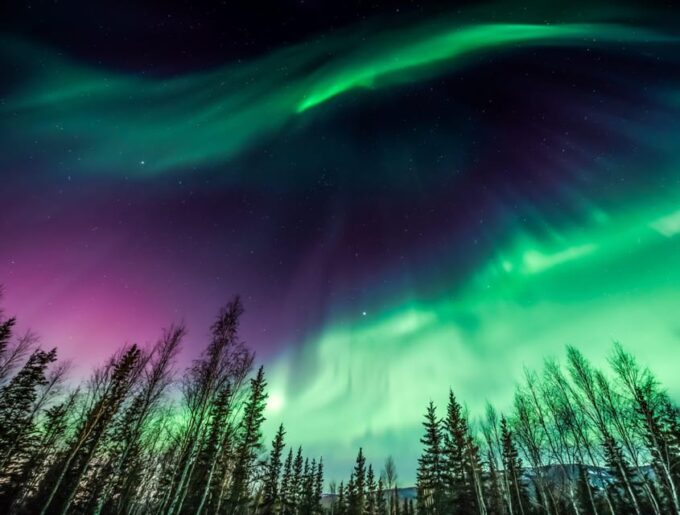 Rovaniemi: Private Aurora Hunting Tour With Meal - Dining at Scan Burger