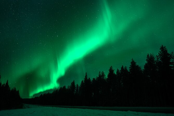 Rovaniemi: Private Aurora Tour With Guaranteed Sightings - Booking Information
